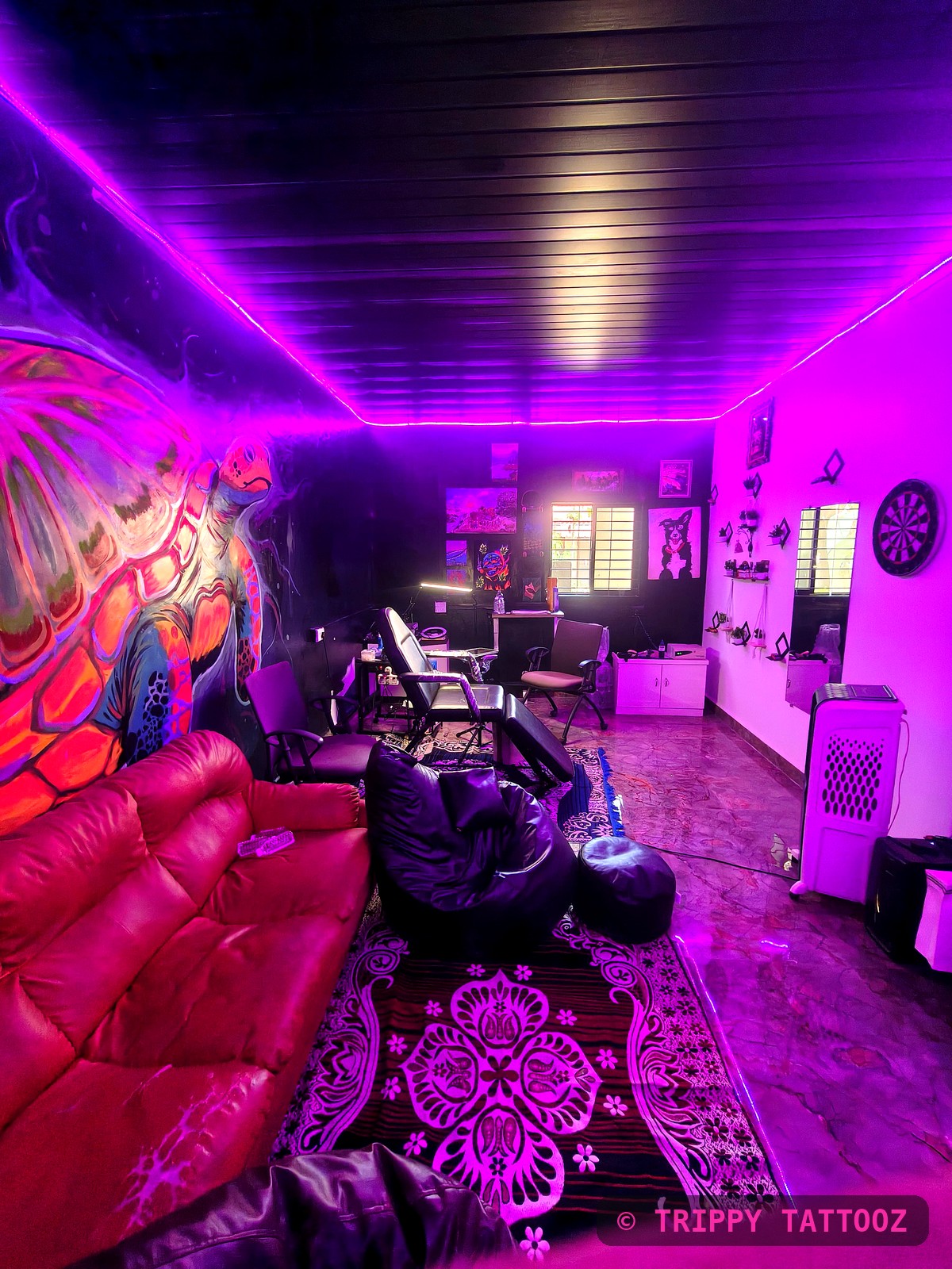 Trippy Tattooz studio interior with mural wall